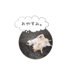 pino with funny friends（個別スタンプ：13）