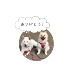 pino with funny friends（個別スタンプ：15）