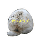 ぴーちゃんのあれこれ②（個別スタンプ：20）