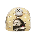 LOVE シェリ（個別スタンプ：16）
