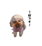 Hello ！ My name is Qoo（個別スタンプ：5）