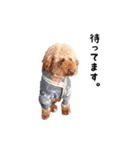 Hello ！ My name is Qoo（個別スタンプ：14）