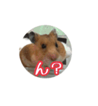 たすたすたんぷ（個別スタンプ：3）