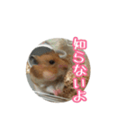 たすたすたんぷ（個別スタンプ：4）