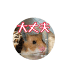 たすたすたんぷ（個別スタンプ：8）