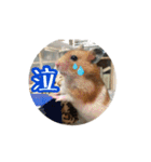 たすたすたんぷ（個別スタンプ：9）