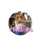 たすたすたんぷ（個別スタンプ：11）
