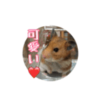 たすたすたんぷ（個別スタンプ：14）