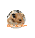 たすたすたんぷ（個別スタンプ：18）