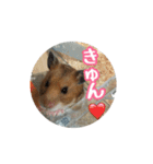 たすたすたんぷ（個別スタンプ：20）