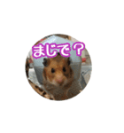 たすたすたんぷ（個別スタンプ：23）