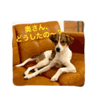 にこ日和（個別スタンプ：3）