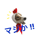 にこ日和（個別スタンプ：6）