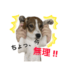 にこ日和（個別スタンプ：21）