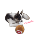 titi2（個別スタンプ：11）