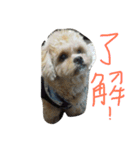 ロンさんの日常No.1（個別スタンプ：8）