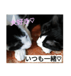 やるきにゃし（個別スタンプ：7）