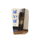 我が家のにゃんこ。（個別スタンプ：34）