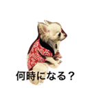 nijinohashinomomo（個別スタンプ：1）