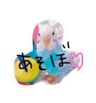 かわいいセキセイインコたち2♡（個別スタンプ：4）
