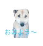 我が家のペット大好き！（個別スタンプ：1）