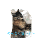 我が家のペット大好き！（個別スタンプ：3）