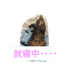 我が家のペット大好き！（個別スタンプ：4）