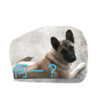 我が家のペット大好き！（個別スタンプ：23）
