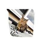 我が家のペット大好き！（個別スタンプ：24）
