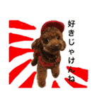 トイプードル そぼろ（個別スタンプ：24）