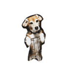 Beagleチョコ（個別スタンプ：4）