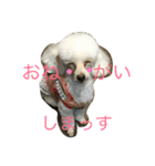 アガサ様の日常で使えるスタンプ（個別スタンプ：2）