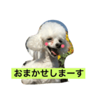 アガサ様の日常で使えるスタンプ（個別スタンプ：10）