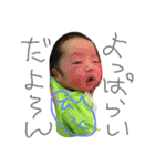 めい君の1日⑤（個別スタンプ：1）