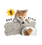 のんびり那々の日常（個別スタンプ：11）