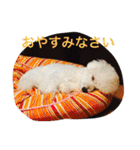 レオン❤︎アレン2（個別スタンプ：3）
