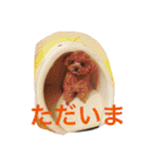 レオン❤︎アレン2（個別スタンプ：4）