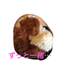 レオン❤︎アレン2（個別スタンプ：6）