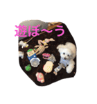 レオン❤︎アレン2（個別スタンプ：13）