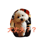 レオン❤︎アレン2（個別スタンプ：14）