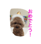 レオン❤︎アレン2（個別スタンプ：17）