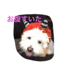 レオン❤︎アレン2（個別スタンプ：18）