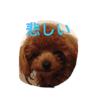 レオン❤︎アレン2（個別スタンプ：21）
