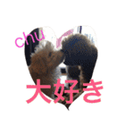 レオン❤︎アレン2（個別スタンプ：26）