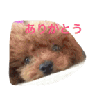 レオン❤︎アレン2（個別スタンプ：31）