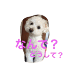 レオン❤︎アレン2（個別スタンプ：32）