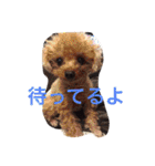 レオン❤︎アレン2（個別スタンプ：37）