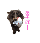 ぱりちゃん（個別スタンプ：18）
