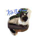 ランラン1212（個別スタンプ：1）