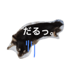 トコきち（個別スタンプ：3）
